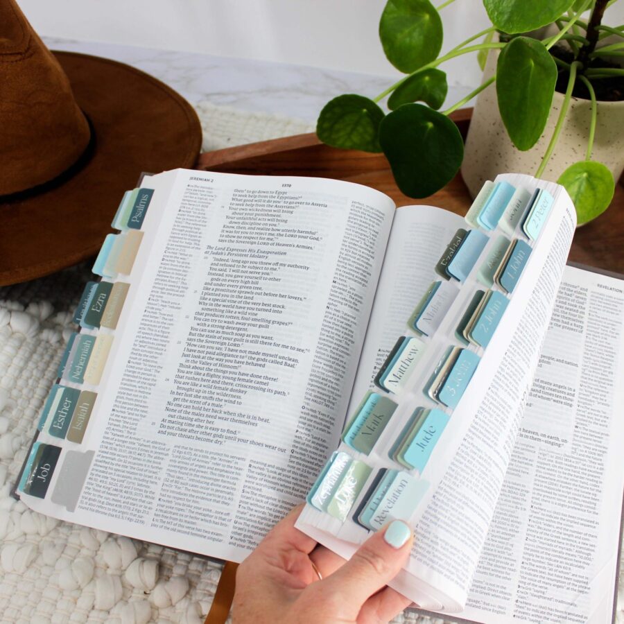Book of Mormon Tabs