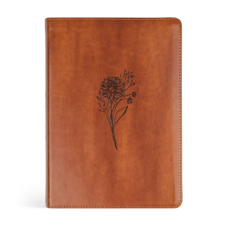 ESV Large Print Journaling Bible