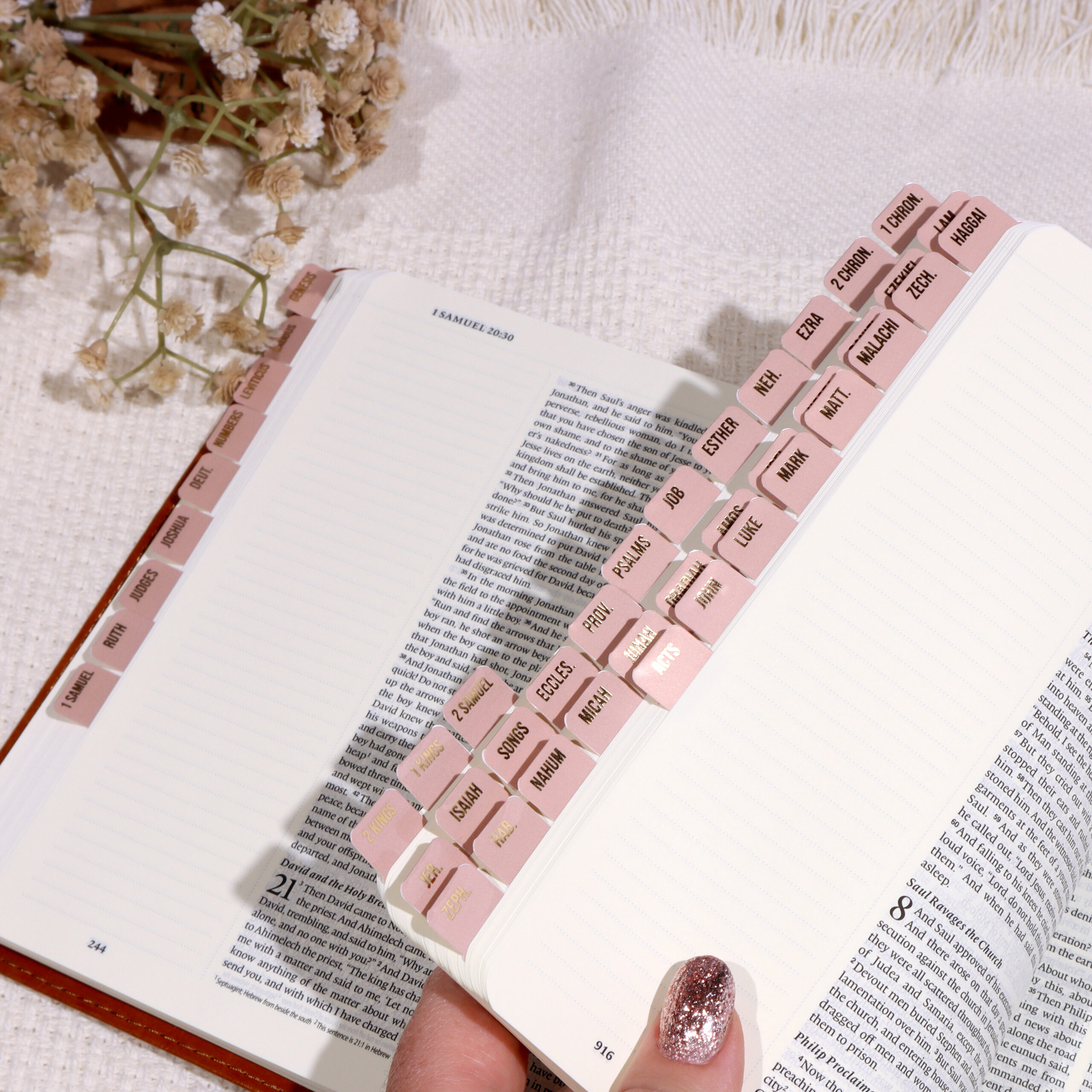 Mini Bible Tabs
